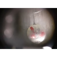 Impact hardness tester with microscope HK ENGELHART
